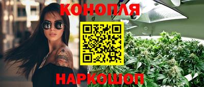 прущие грибы Малоярославец