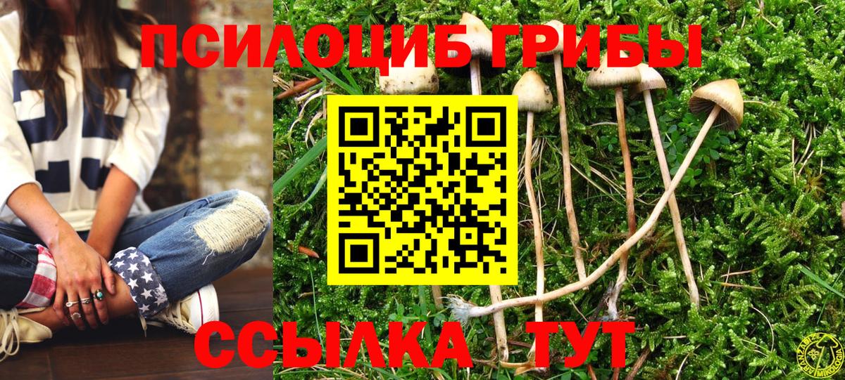 Галлюциногенные грибы прущие грибы  Галлюциногенные грибы ЛСД  Вход с VPN  Чайковский 